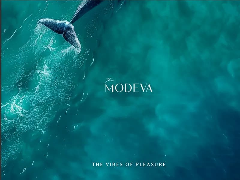The Title  MODEVA